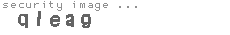 security image