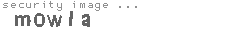 security image