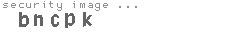 security image