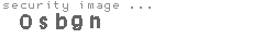 security image