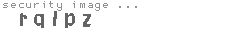 security image
