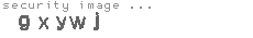security image