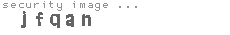 security image