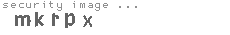 security image
