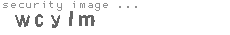 security image