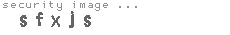 security image