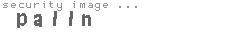 security image