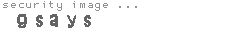 security image