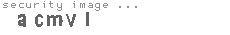 security image