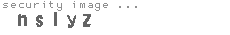 security image