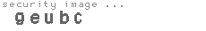 security image