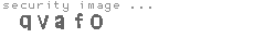 security image