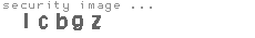 security image