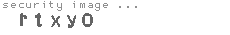 security image