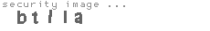 security image