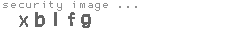 security image