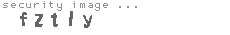security image
