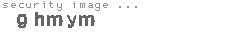 security image