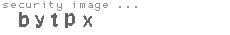 security image