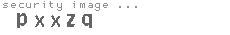 security image