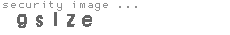 security image