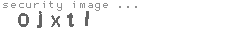 security image