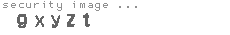 security image