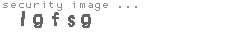 security image