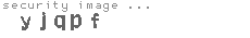 security image
