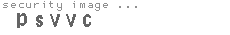 security image