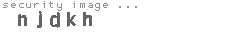 security image