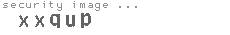 security image