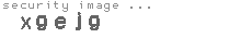 security image