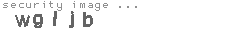 security image