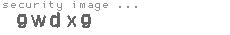security image
