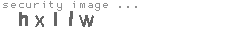 security image