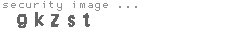 security image