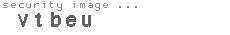 security image