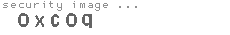 security image