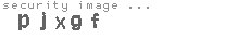 security image