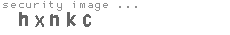 security image