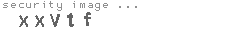 security image