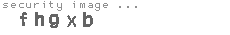 security image