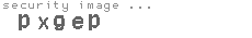 security image
