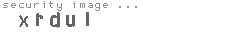 security image