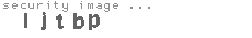 security image
