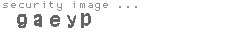 security image