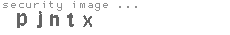 security image