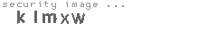 security image