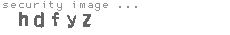 security image